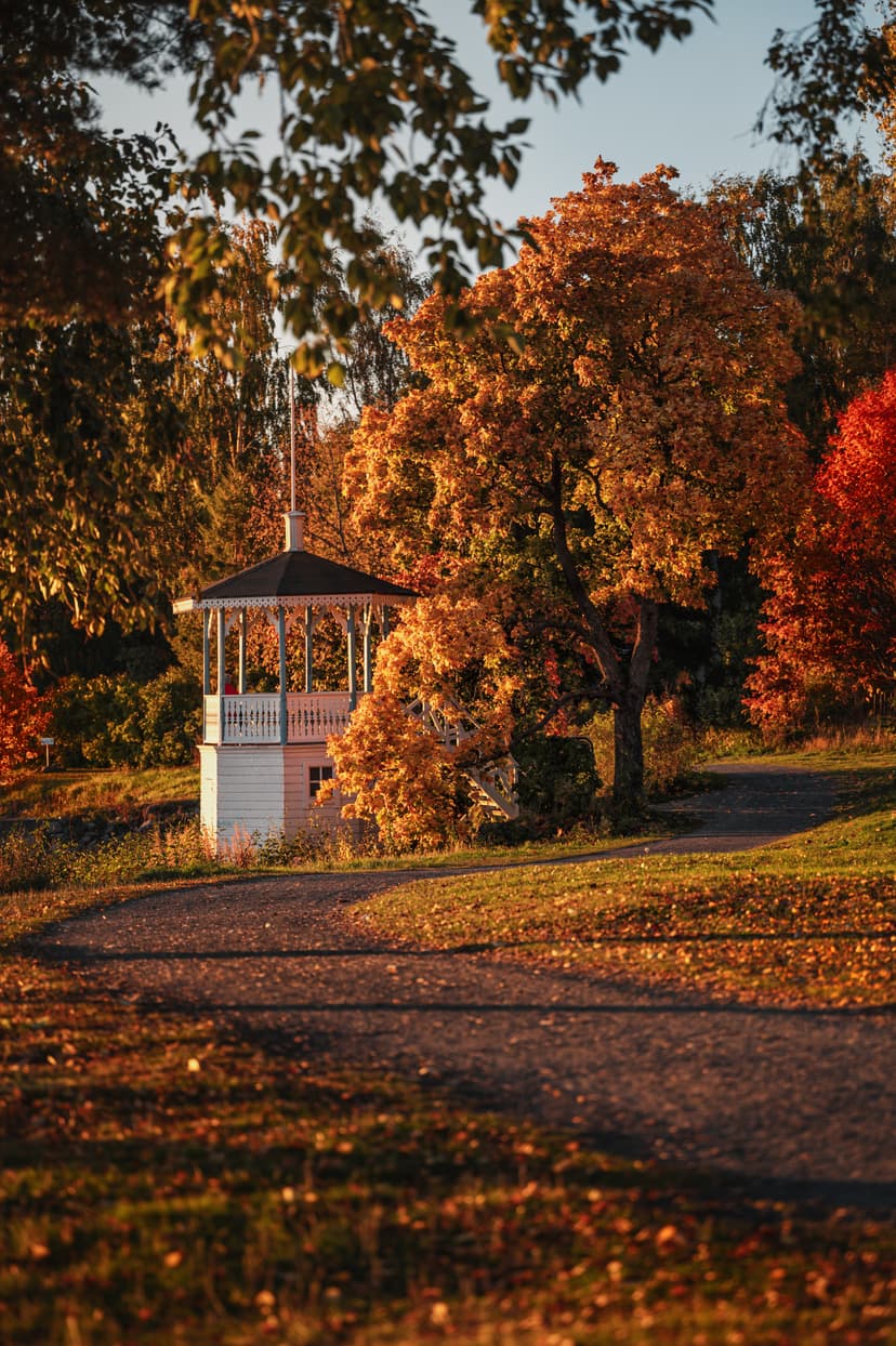 Kuva syksyisestä Oulun puistosta.